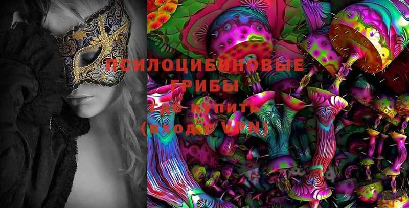 Псилоцибиновые грибы Cubensis  Кирово-Чепецк 